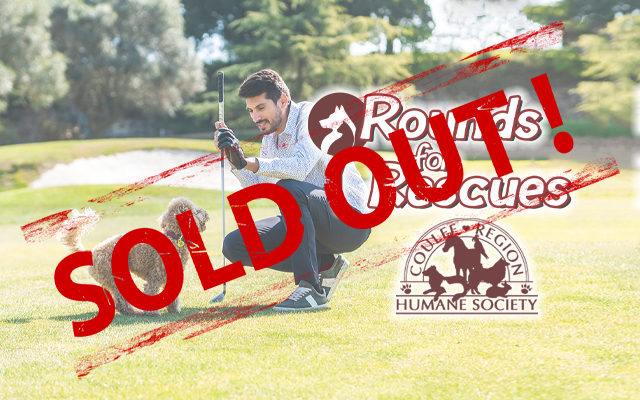 sold out