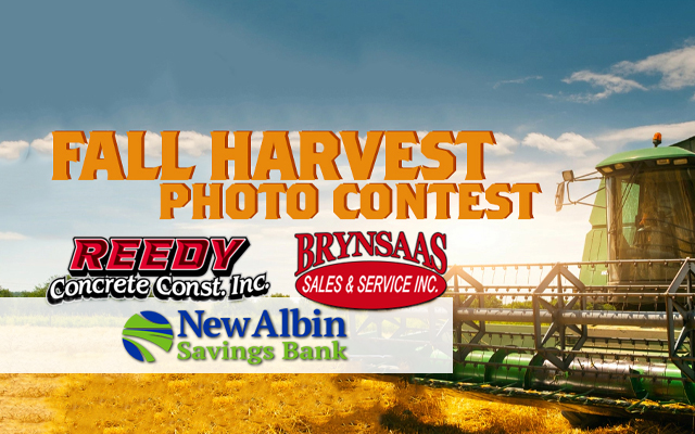 Fall Harvest